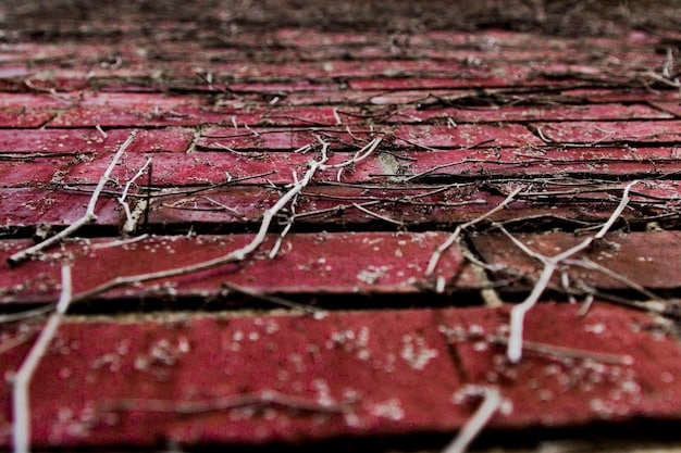 A close-up shot of damaged asphalt shingles on a residential roof. Several shingles are cracked, curling at the edges, and some are missing entirely, exposing the underlayment. There are also visible dark stains and moss growth, indicating moisture accumulation and age.