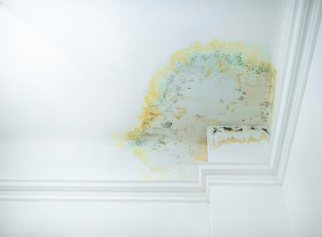 A photo of a water stain on an interior ceiling of a home. The stain is circular and brown, indicating water damage from a roof leak. The surrounding paint is slightly bubbled and peeling, emphasizing the moisture problem. The image captures the detail of the interior damage caused by an external roofing issue.