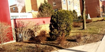 The 2025 Guide to Eco-Friendly Landscaping: Save Water and Reduce Your Carbon Footprint - Cover Image