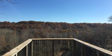 DIY Deck Maintenance: Your Guide to Protect & Preserve - Cover Image