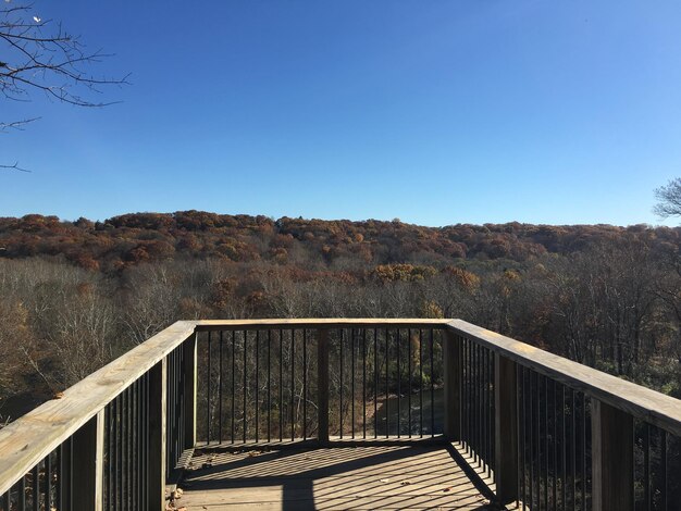 DIY Deck Maintenance: Your Guide to Protect & Preserve