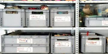 Maximize Your Space: Attic Organization Ideas You Need to Know - Cover Image