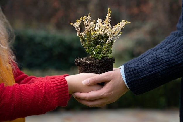 A couple planting a small tree together, symbolizing growth, nurturing, and long-term commitment in their relationship. Bright, hopeful lighting.